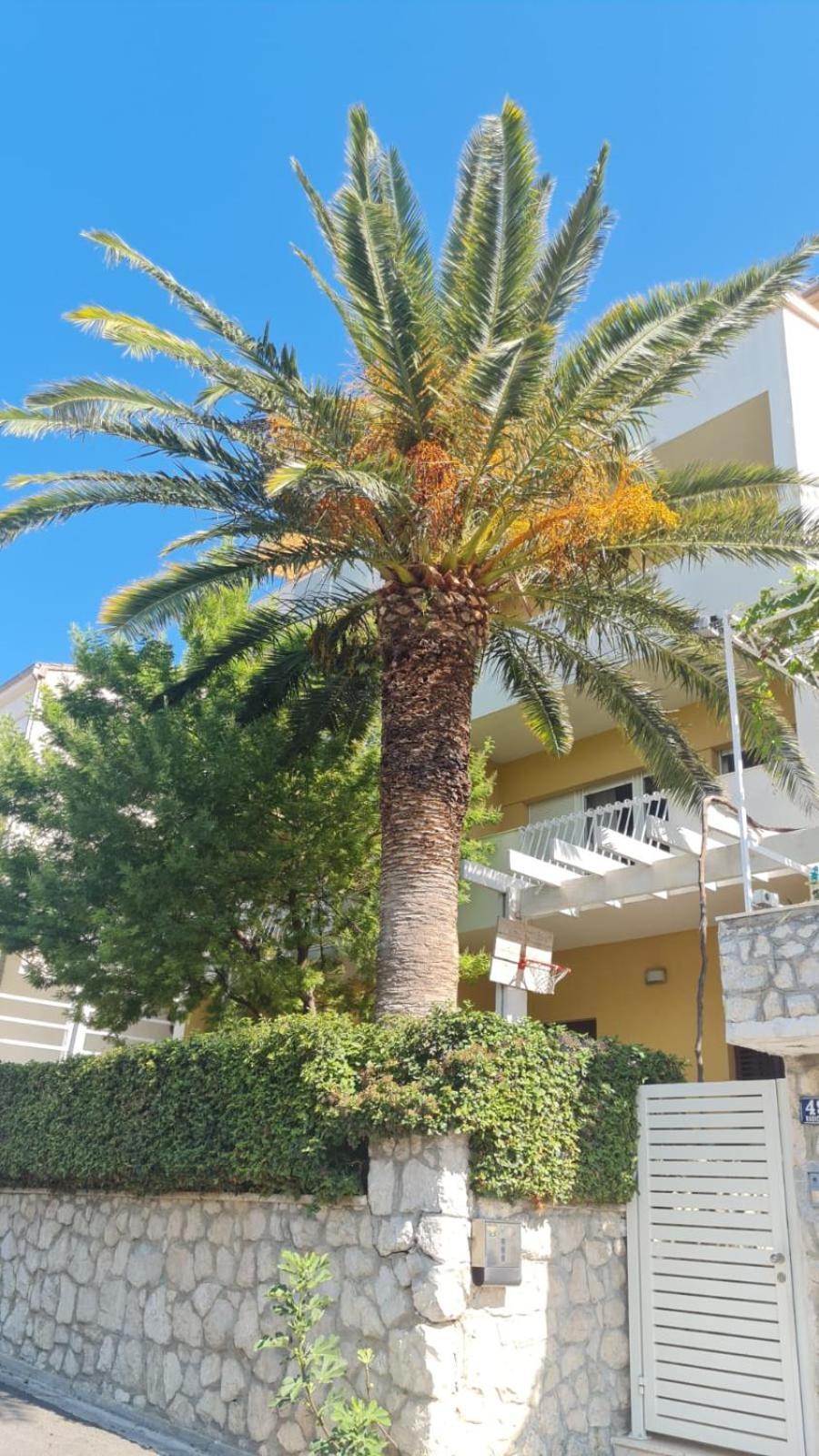 Teta Ljuba 1 Apartment